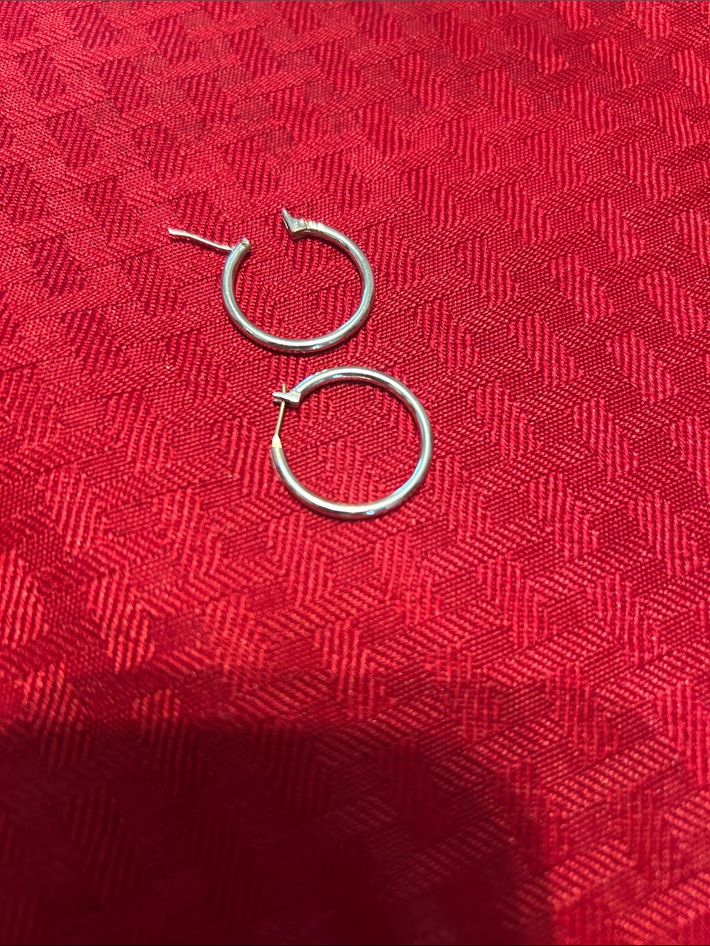 Minimalist Sterling-Color Hoop Earrings for Women nWoT